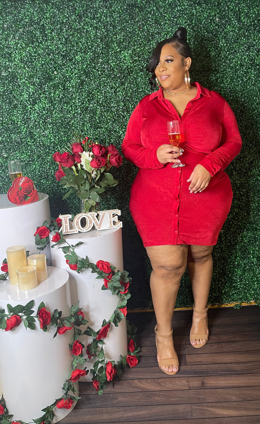Ruby Woo Dress